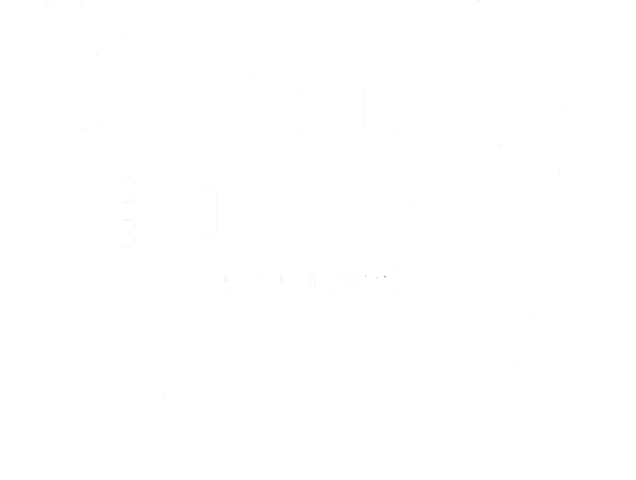 STL BOXING ACADEMY